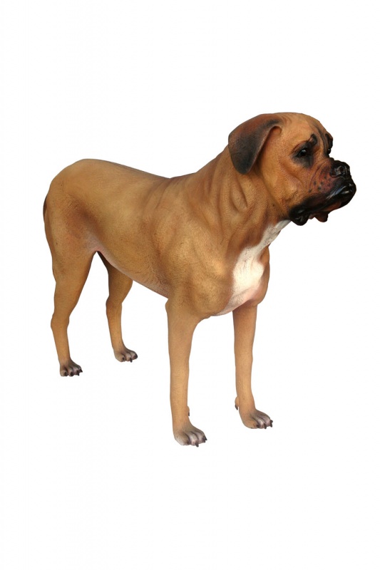 BORDEAUX DOG