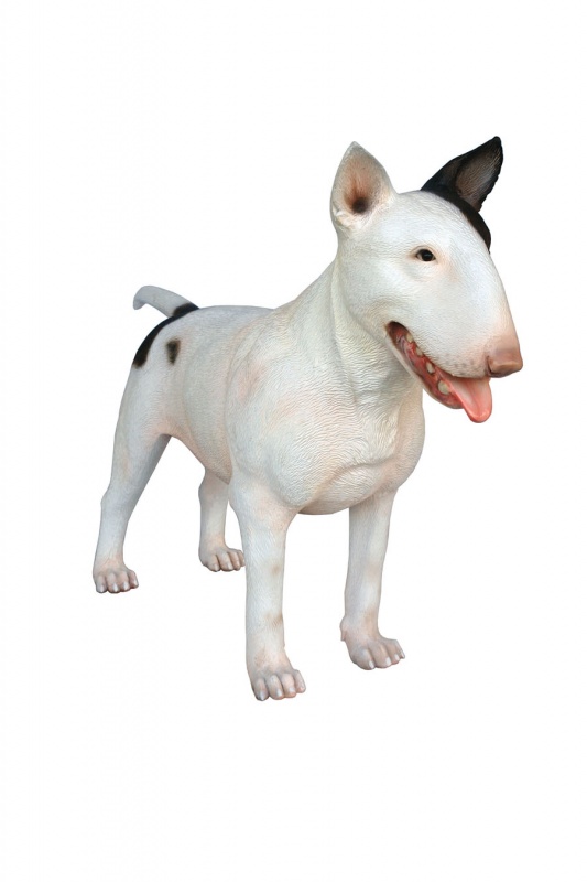 BULL TERRIER