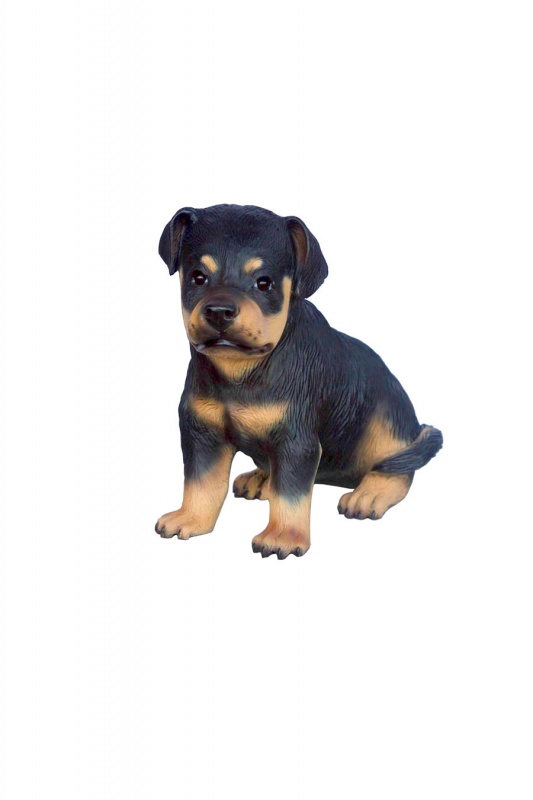 ROTWEILER PUPPY