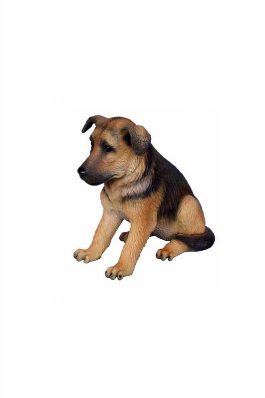 GERMAN SHEPHERD PUPPY