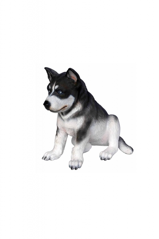 HUSKY PUPPY
