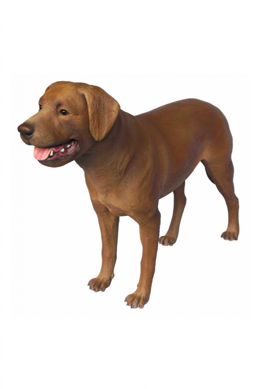 LABRADOR RETRIEVER 2