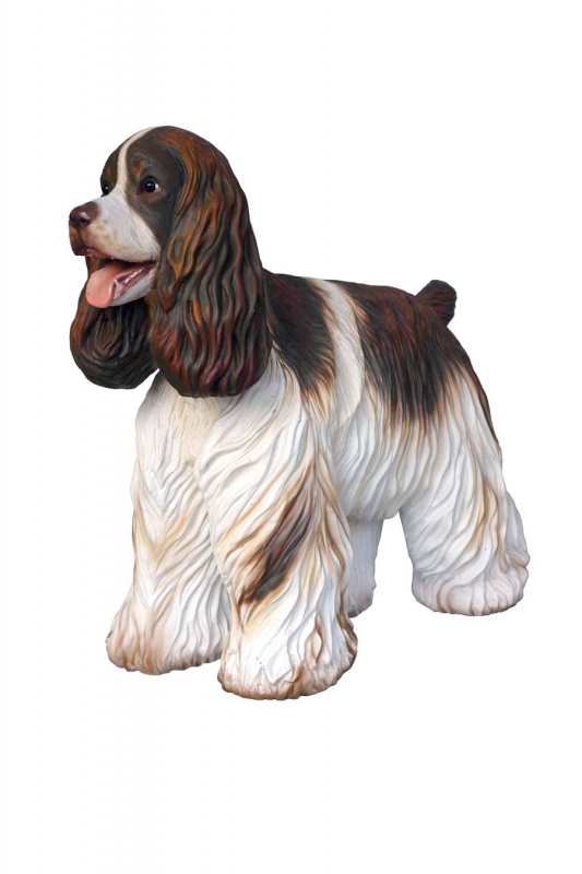 ENGLISH COCKER SPANIEL 2