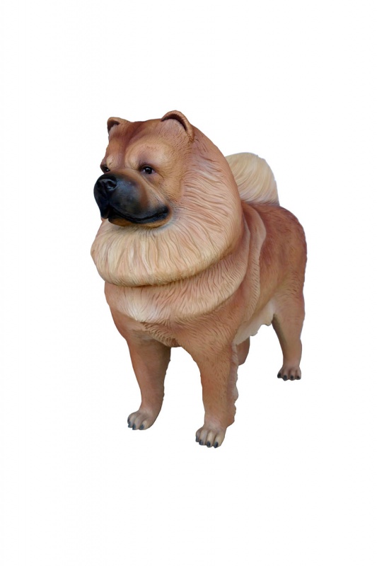 CHOW CHOW DOG