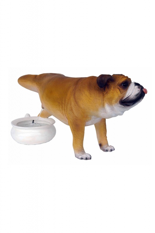 BULLDOG URINATING TIME