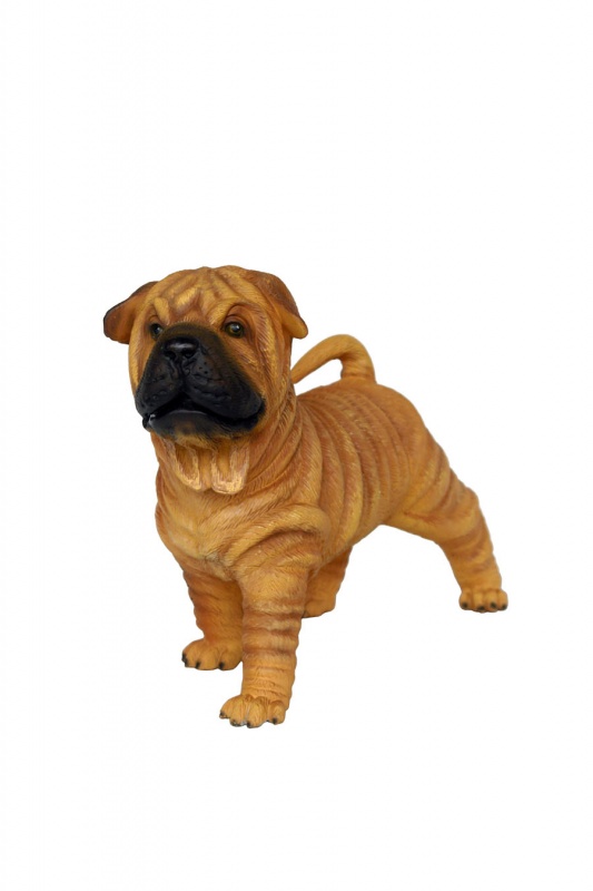 SHAR-PEI DOG PUPPY 1