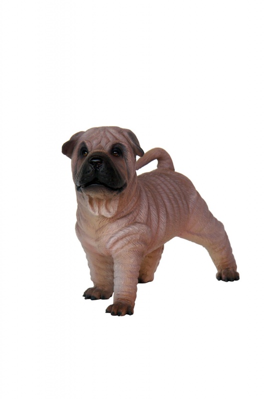 SHAR-PEI DOG PUPPY 2