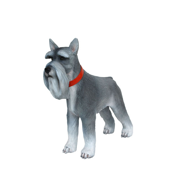 Miniature Schnauzer Dog 1