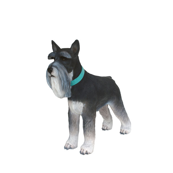 MINIATURE SCHNAUZER DOG 2