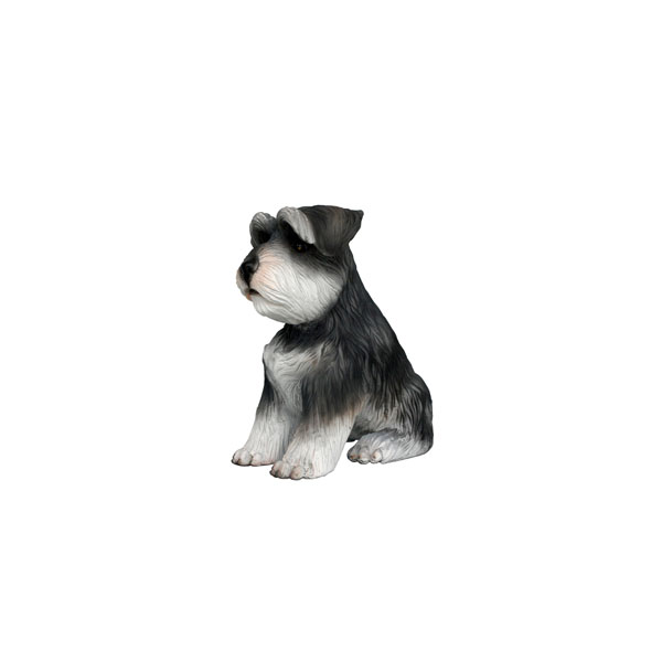 Miniature Schnauzer Dog Puppy