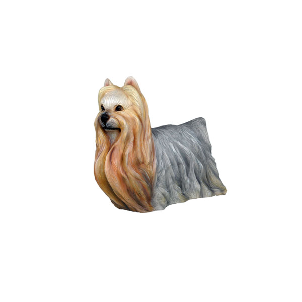 YORKSHIRE TERRIER DOG 1