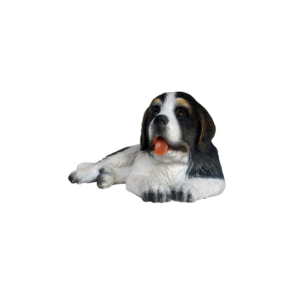 Saint Bernard Dog Puppy 1
