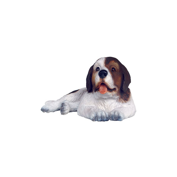 Saint Bernard Dog Puppy 2