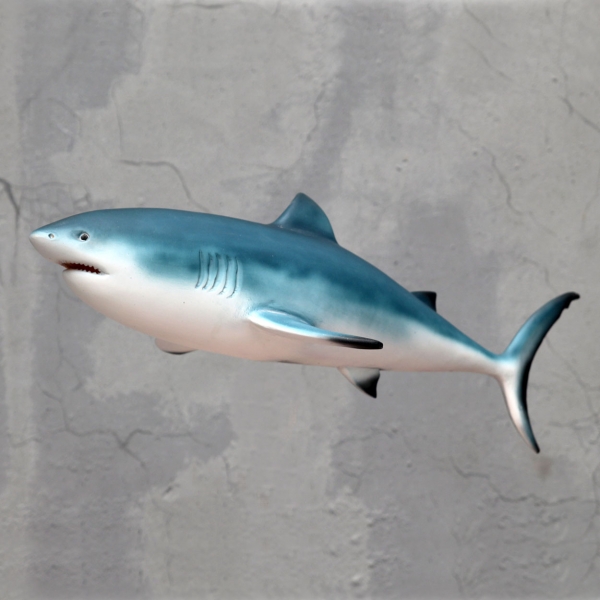 Tiger Shark