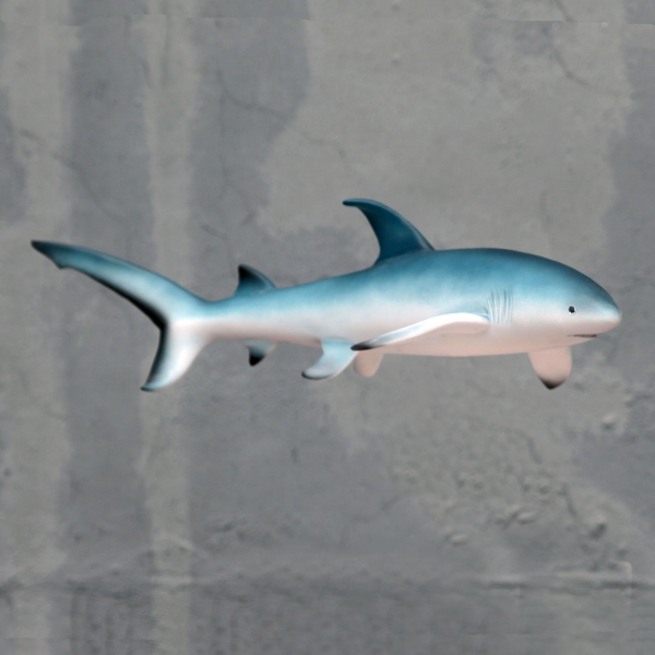 Thresher Shark