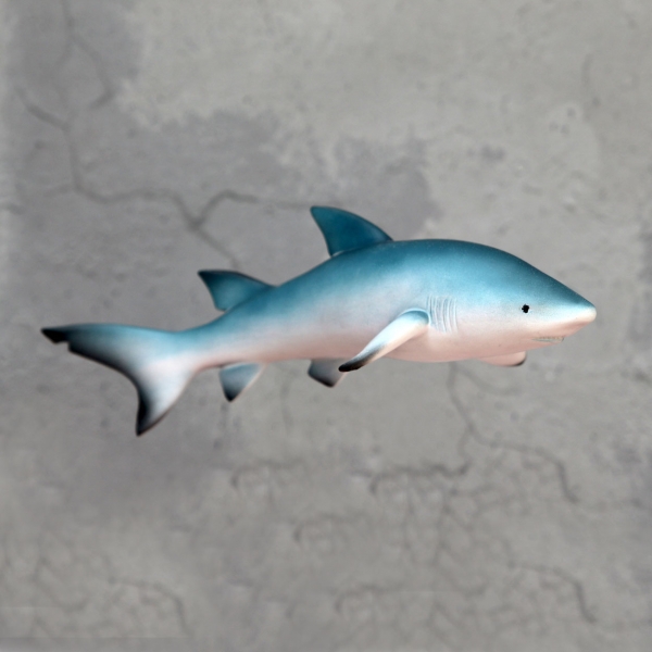 Sand Shark