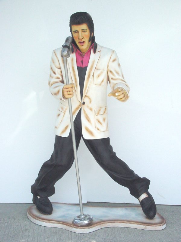 ROCK & ROLL SINGER