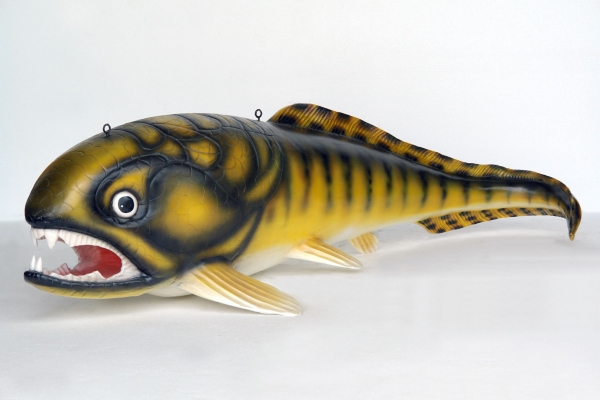 DUNKLEOSTEUS