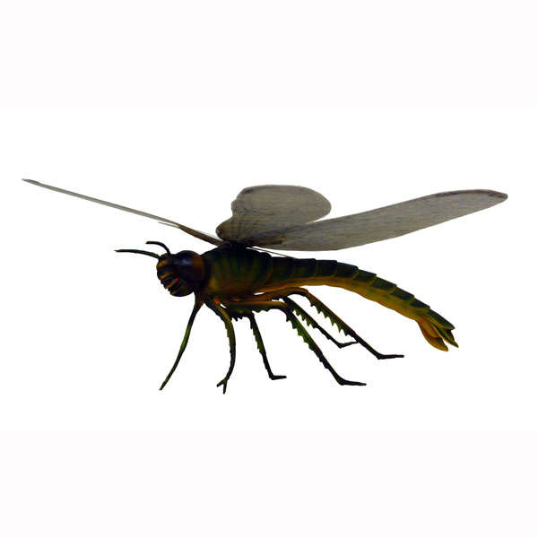 MEGANEURA