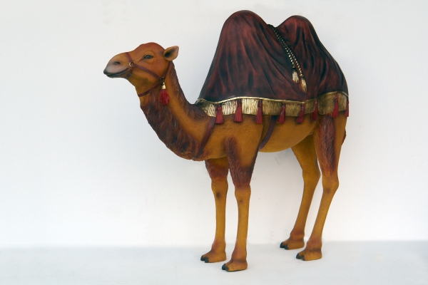 CAMEL WITH BURGUNDY RUG