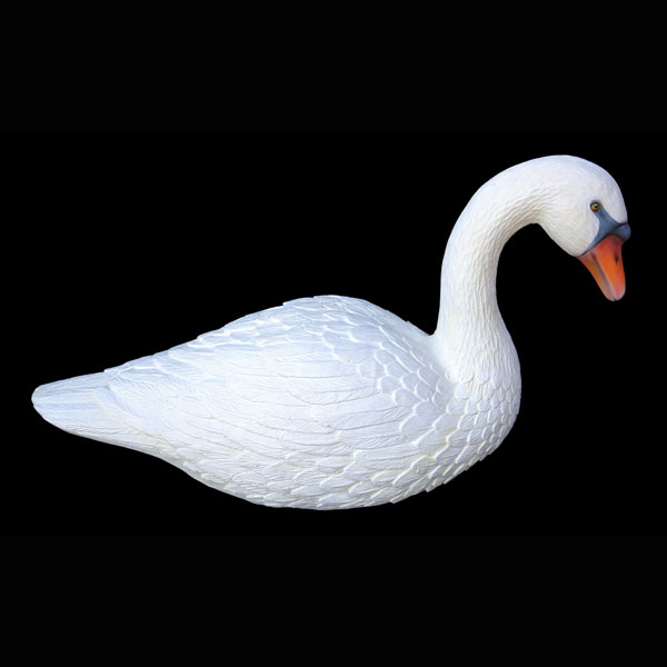 SWAN SITTING