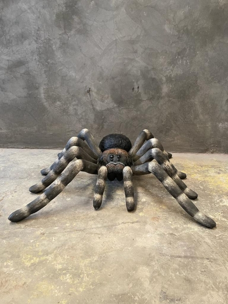 TARANTULA
