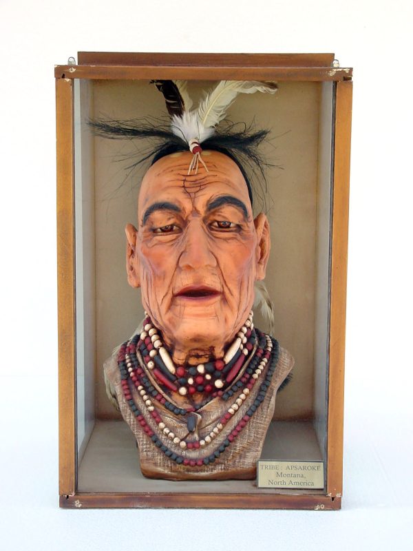 HEAD APSAROKE TRIBE