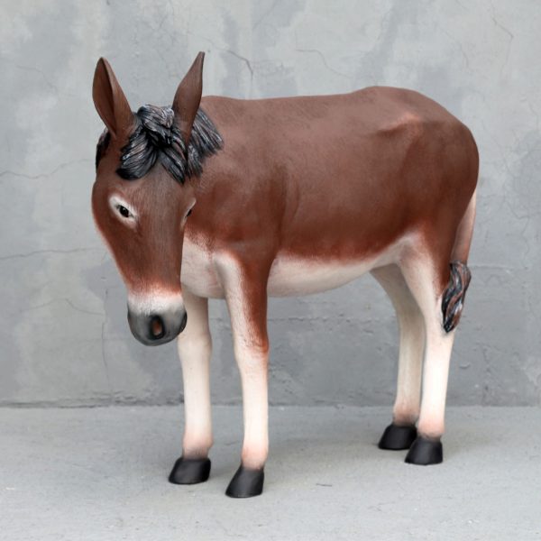 DONKEY