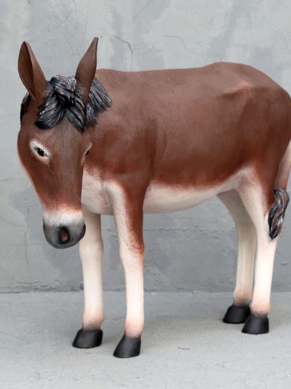 DONKEY
