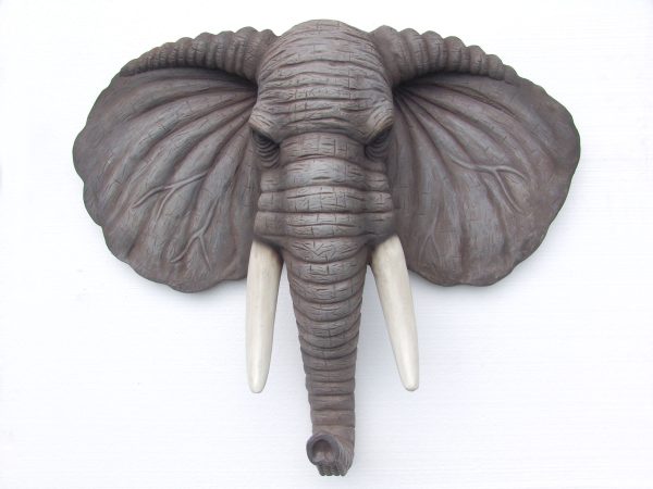 ELEPHANT HEAD