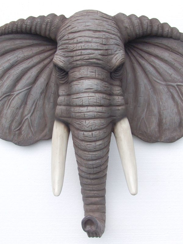 ELEPHANT HEAD