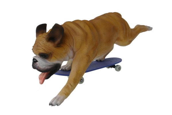 BULLDOG WITH SKATEBOARD