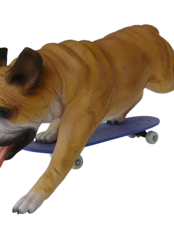 BULLDOG WITH SKATEBOARD