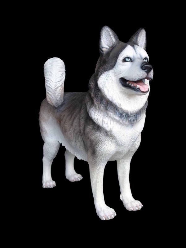 HUSKY DOG 2