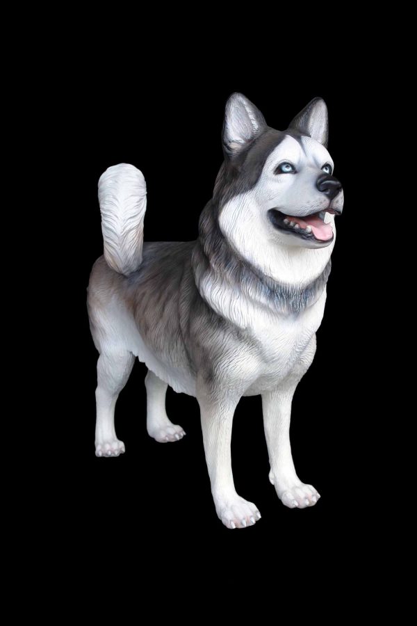 HUSKY DOG 2