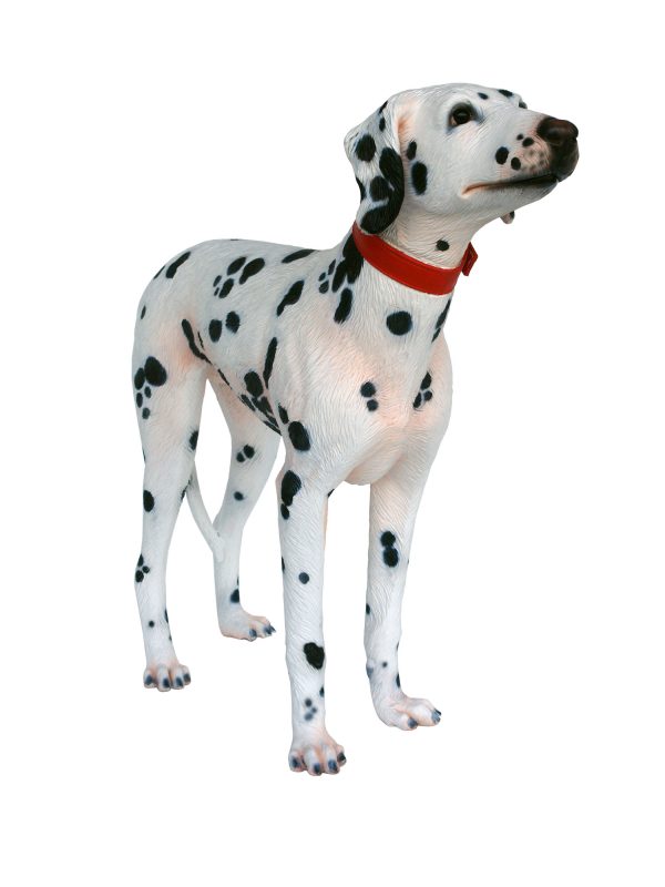 DALMATIAN DOG