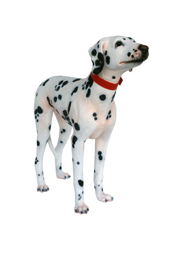 DALMATIAN DOG