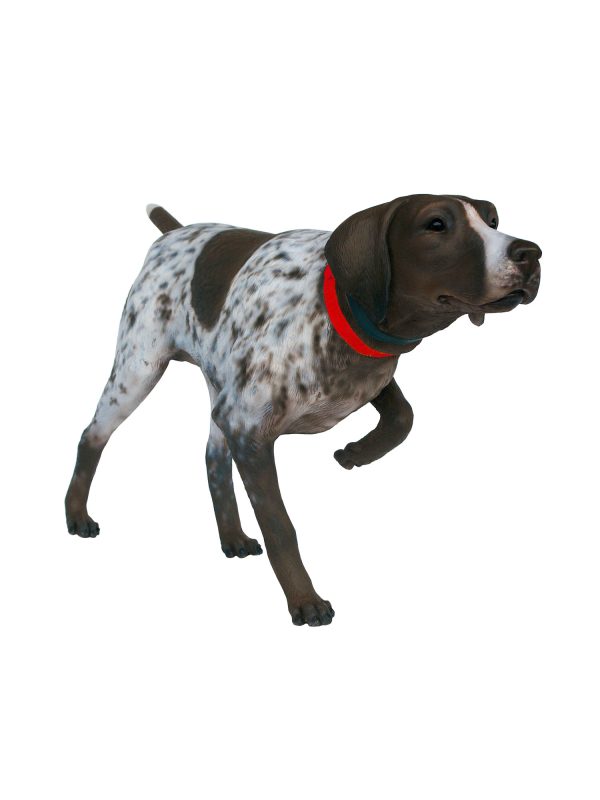GERMAN SHORTHAIRED POINTER