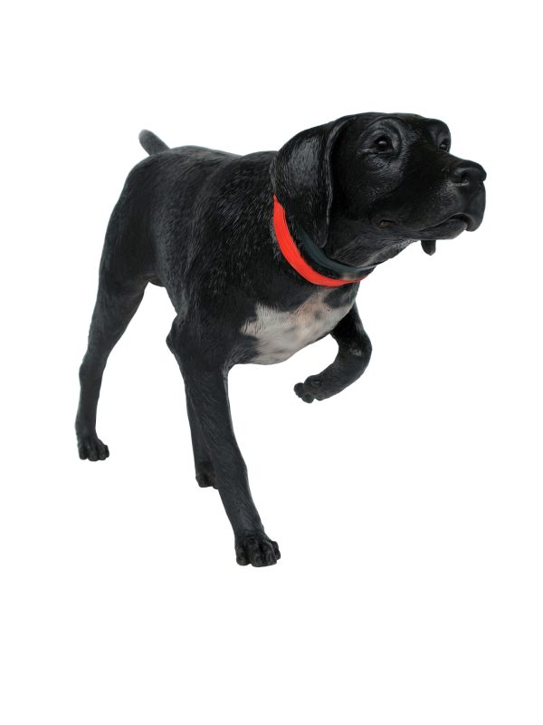 GERMAN SHORTHAIRED POINTER DOG (BLACK)