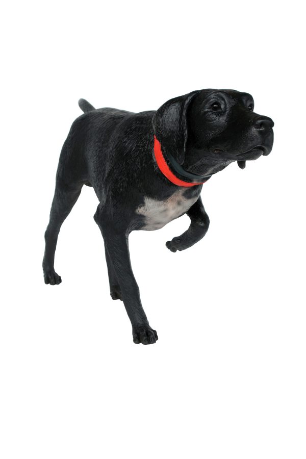 GERMAN SHORTHAIRED POINTER DOG (BLACK)