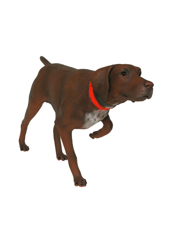 GERMAN SHORTHAIRED POINTER DOG (BROWN)