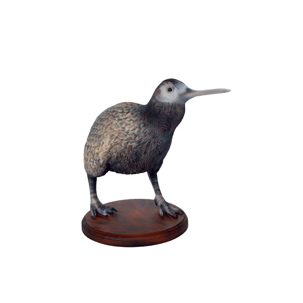KIWI BIRD