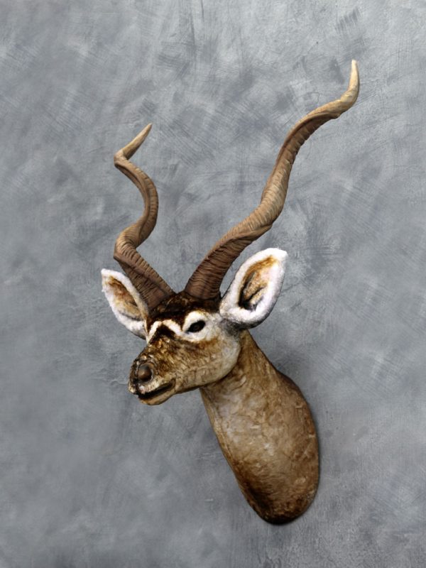 KUDU HEAD