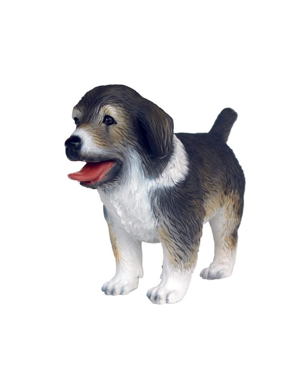 AUSTRALIAN SHEPERD DOG PUPPY 1