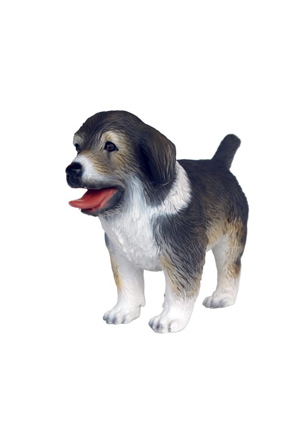 AUSTRALIAN SHEPERD DOG PUPPY 1