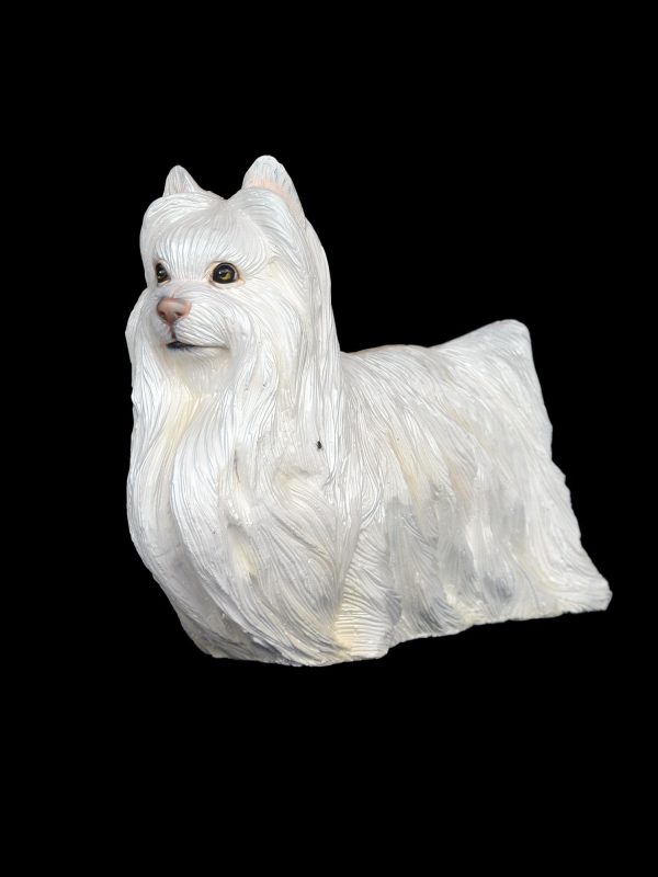 YORKSHIRE TERRIER DOG 2