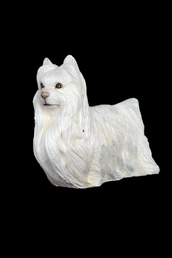YORKSHIRE TERRIER DOG 2