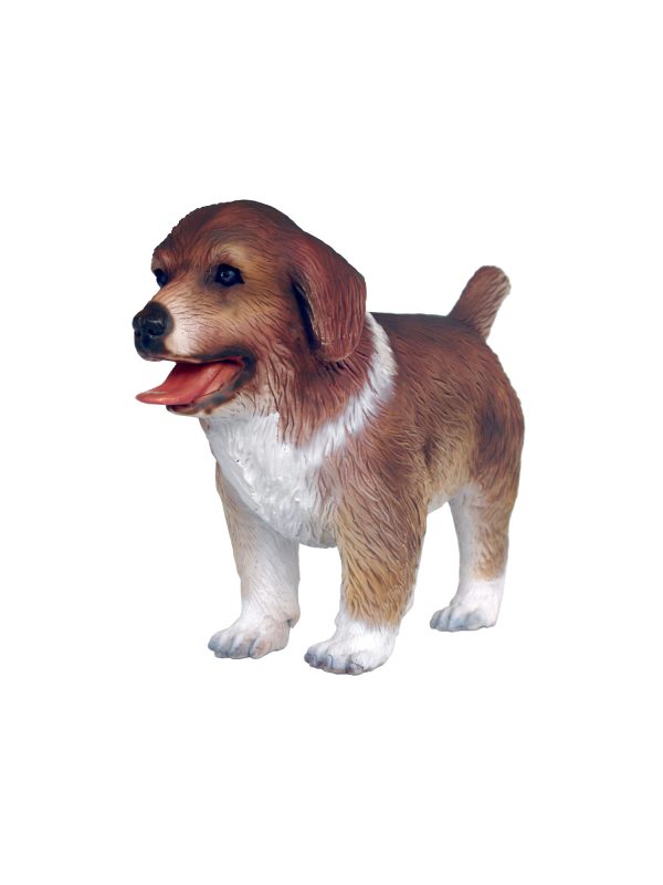 AUSTRALIAN SHEPERD DOG PUPPY 2