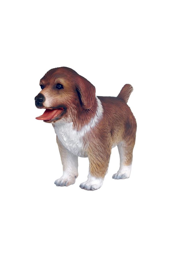 AUSTRALIAN SHEPERD DOG PUPPY 2