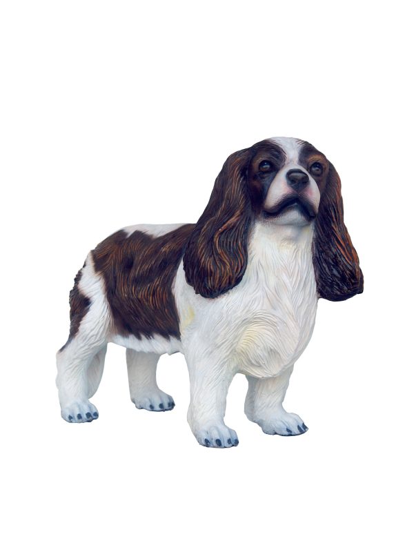 CAVALIER KING CHARLES SPANIEL DOG 1